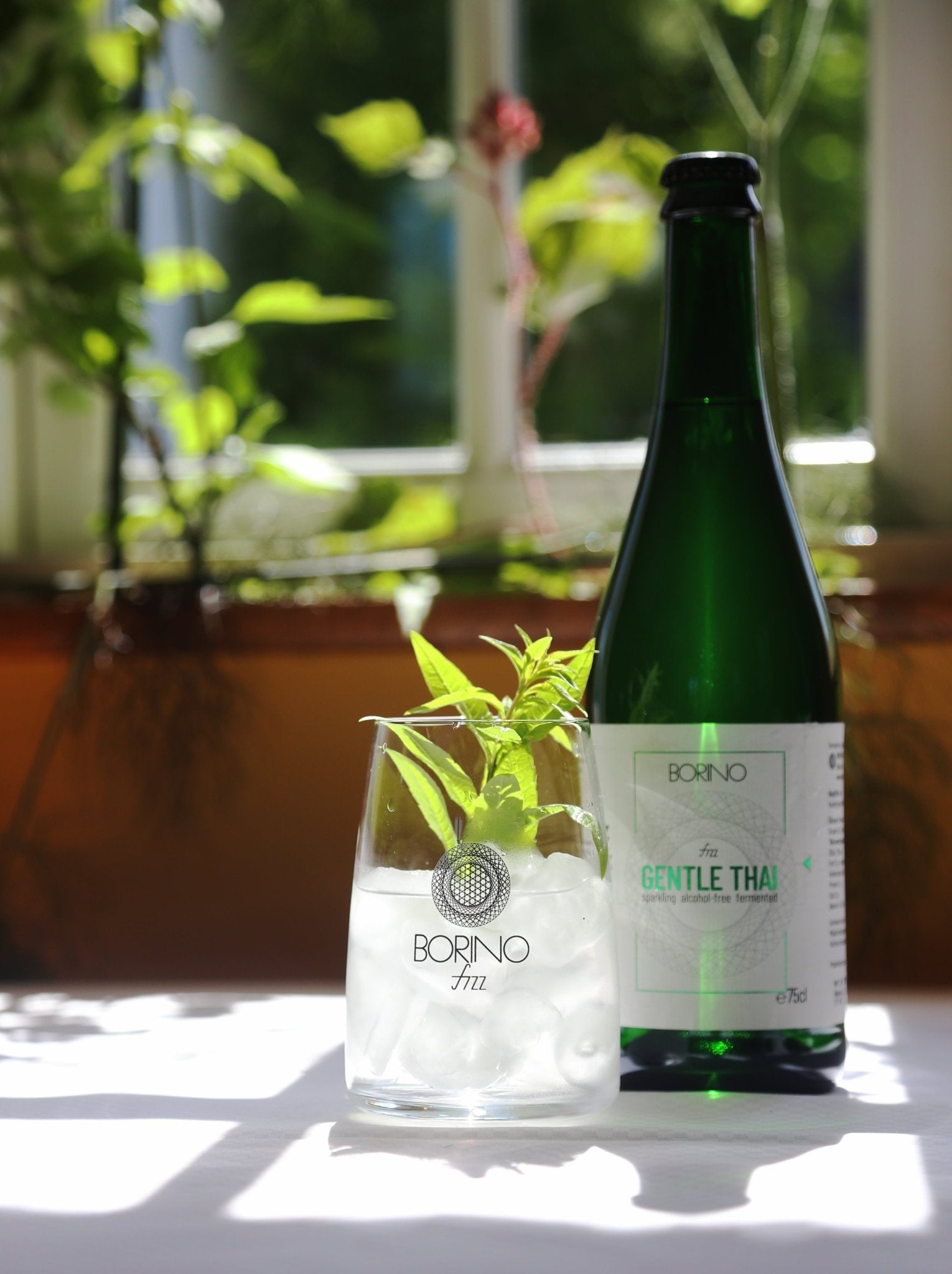 BORINO (0,75 l) »GENTLE THAI« 6x VORTEILSSET - Borinofizz