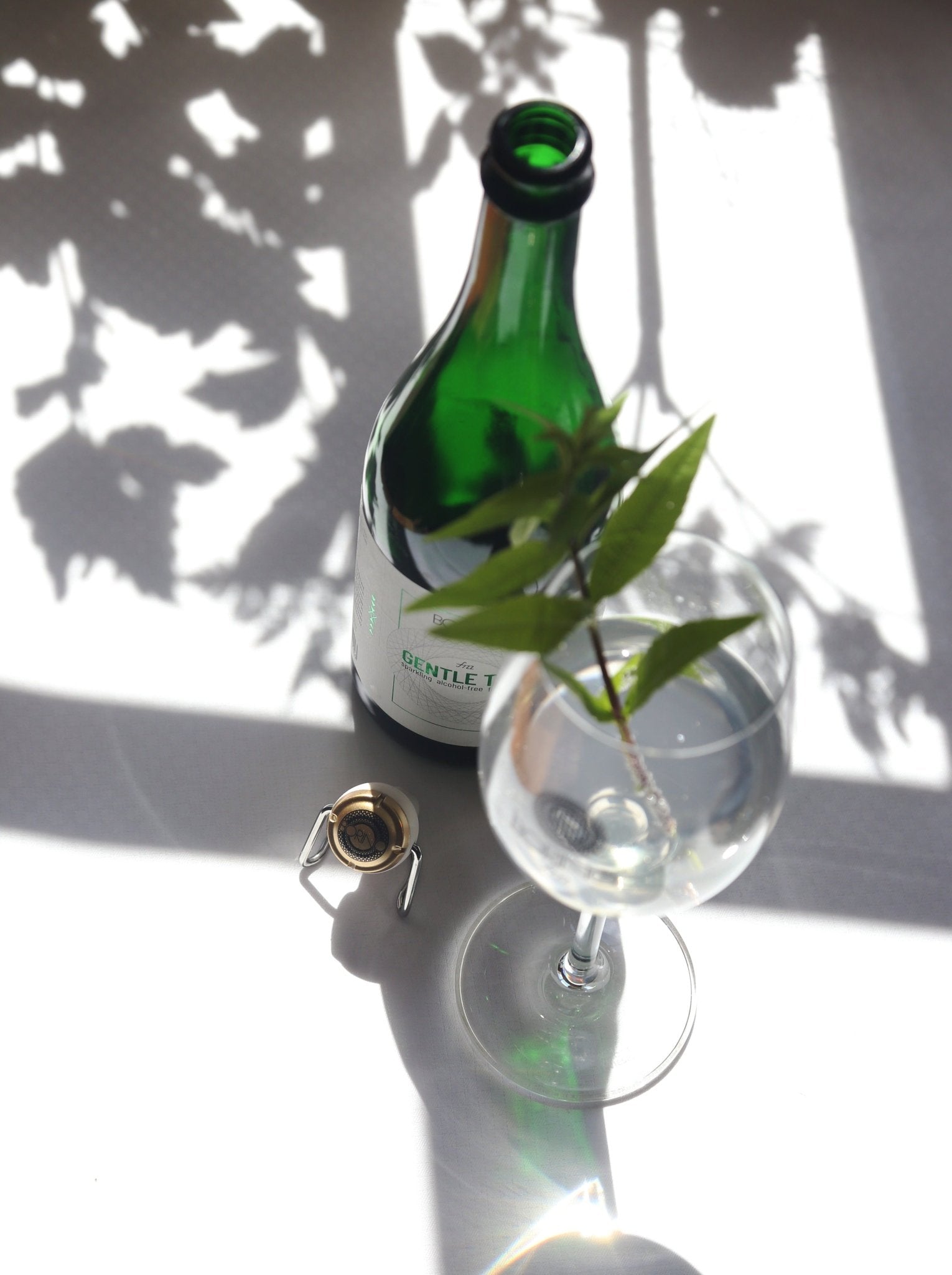 BORINO (0,75 l) »GENTLE THAI« - Borinofizz