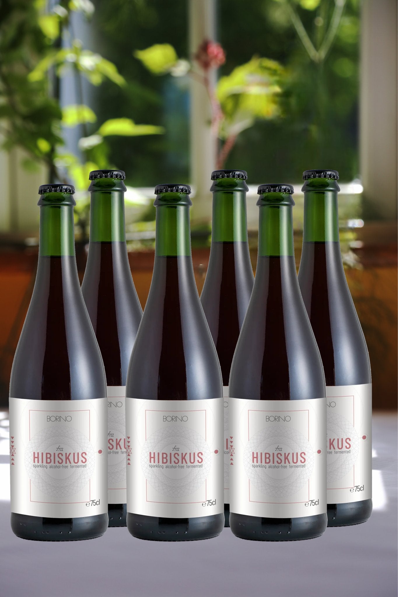 BORINO (0,75 l) »HIBISKUS« 6x VORTEILSSET - Borinofizz